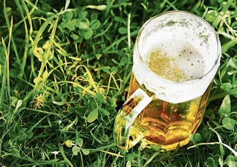 Ein Bier zum Abkühlen?