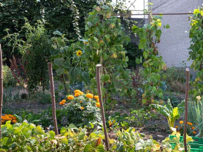 Das Vorhaben in Dulliken stösst auf Widerstand, die Suchthilfe Ost nimmt Stellung