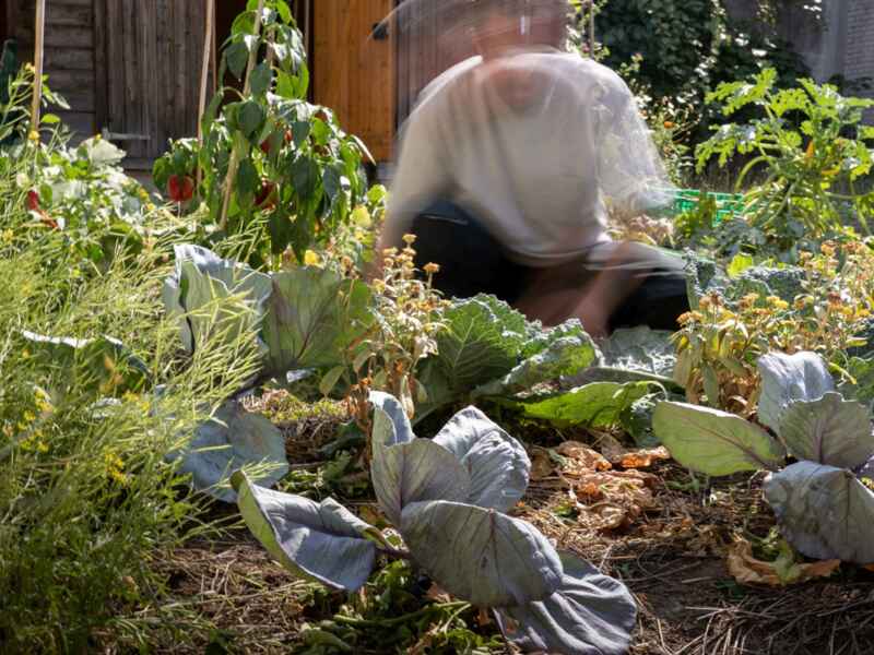 Suchthilfe-Garten soll in Dulliken statt in Olten entstehen