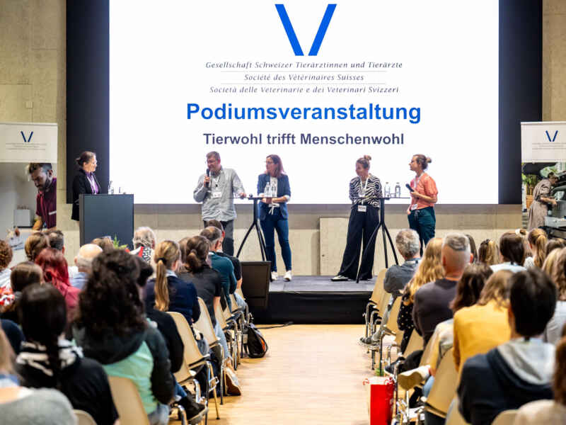 Tier- und Menschenwohl: Ein Spannungsfeld in der Praxis der Sozialen Arbeit